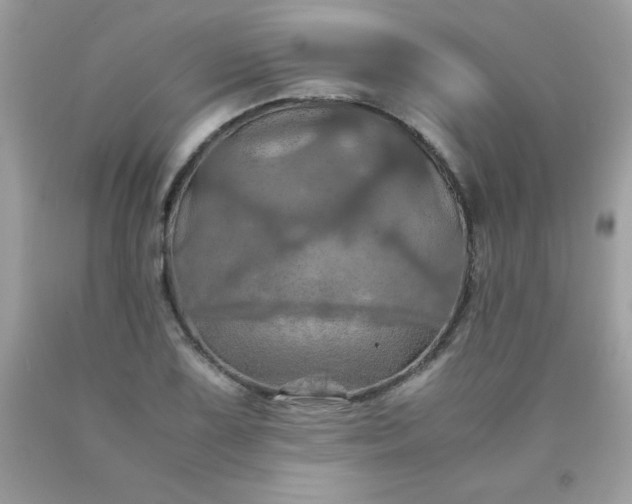 X0000090491075200707272335