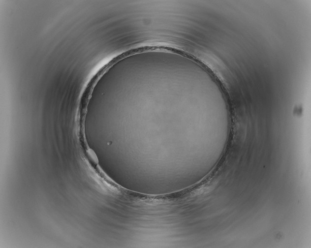X0000090491076200707272335