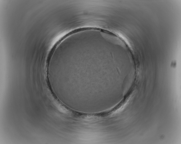 X0000090491077200707272335