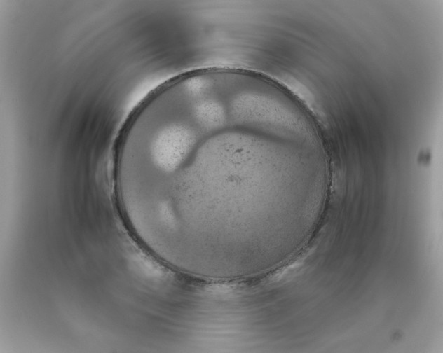 X0000090491078200707272335