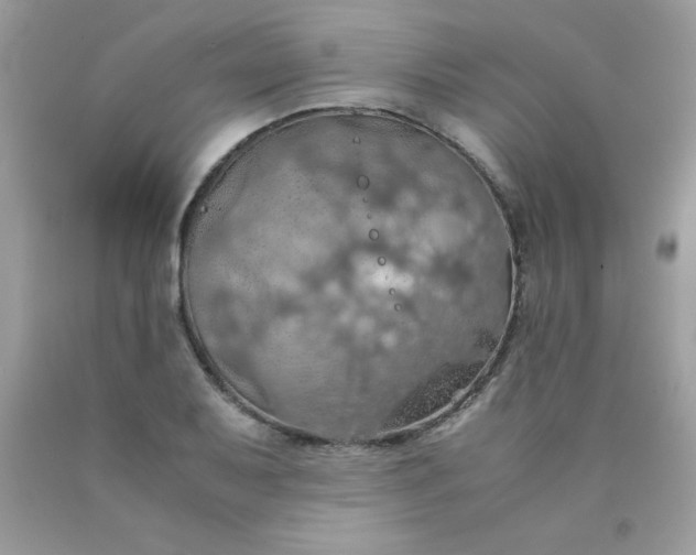 X0000090491079200707272335