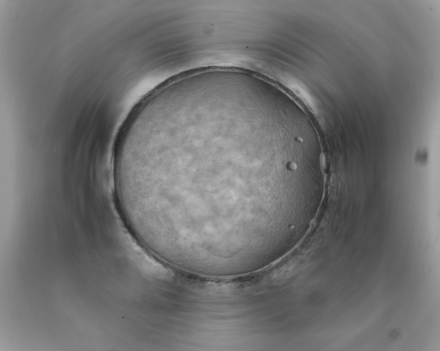 X0000090491080200707272335
