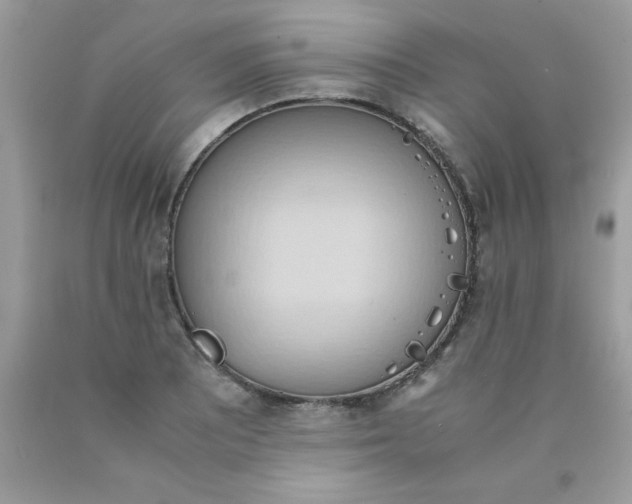 X0000090491081200707272335