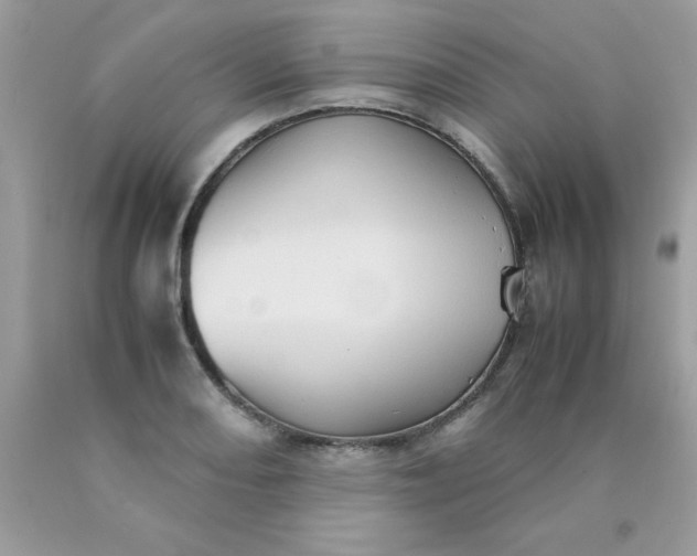 X0000090491082200707272335