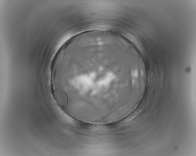 X0000090491083200707272335