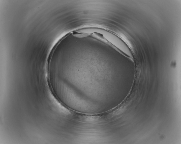 X0000090491084200707272335