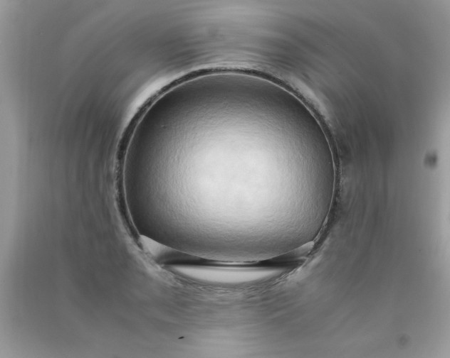 X0000090491085200707272335