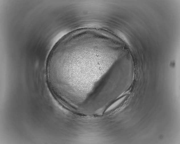 X0000090491087200707272335