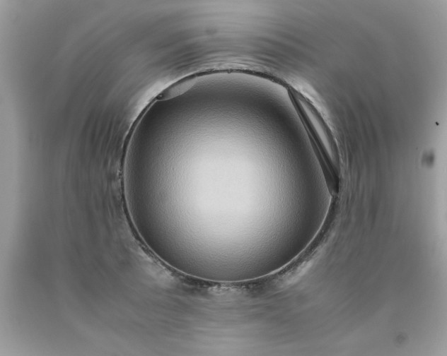 X0000090491089200707272335