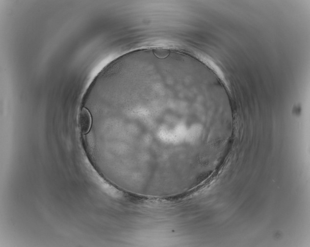 X0000090491091200707272335