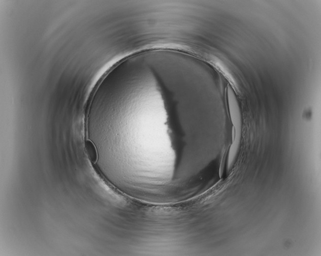 X0000090491092200707272335