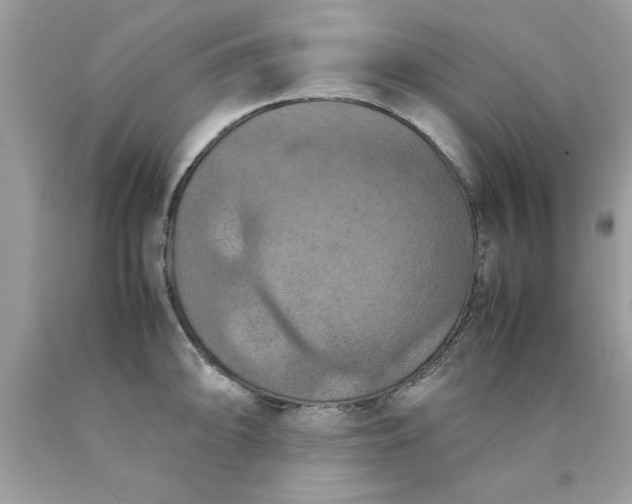 X0000090491094200707272335
