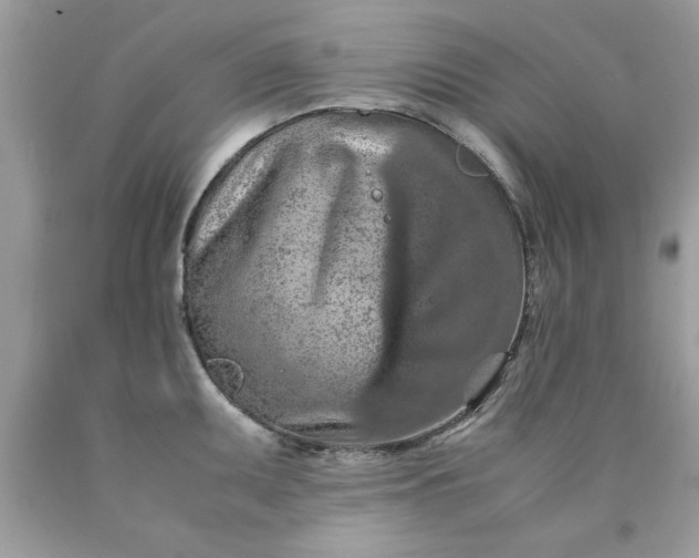 X0000090491095200707272335