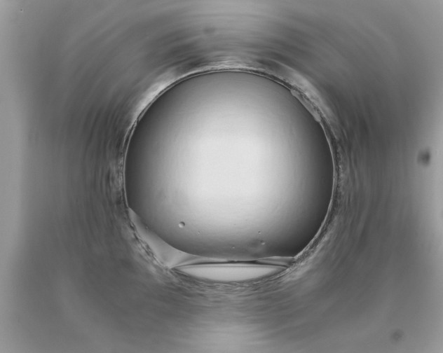 X0000090491097200707272335
