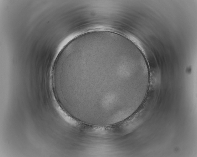 X0000090491098200707272335