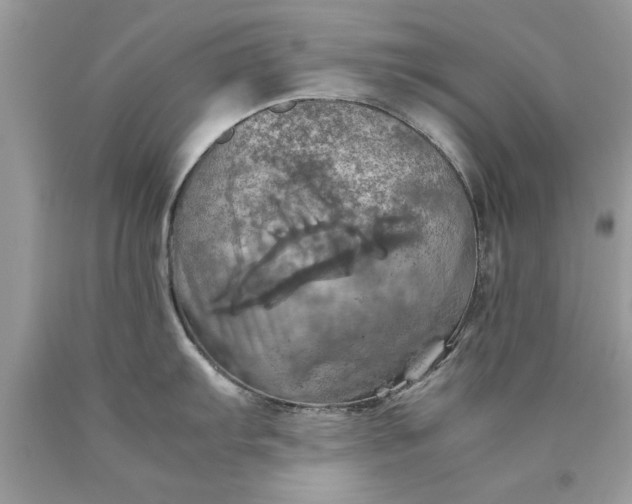 X0000090491103200707272335