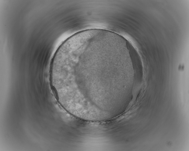 X0000090491104200707272335