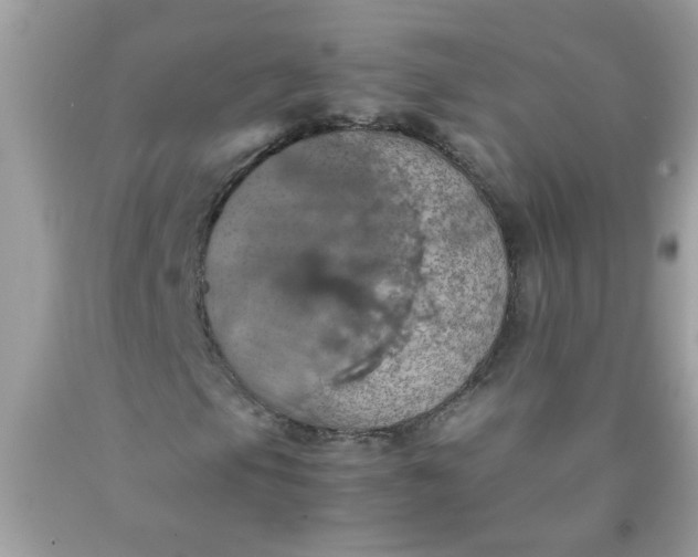 X0000090491105200707272334