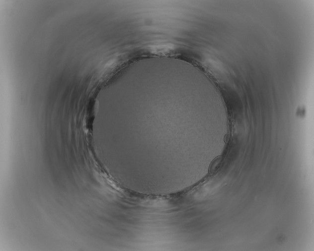 X0000090491106200707272334
