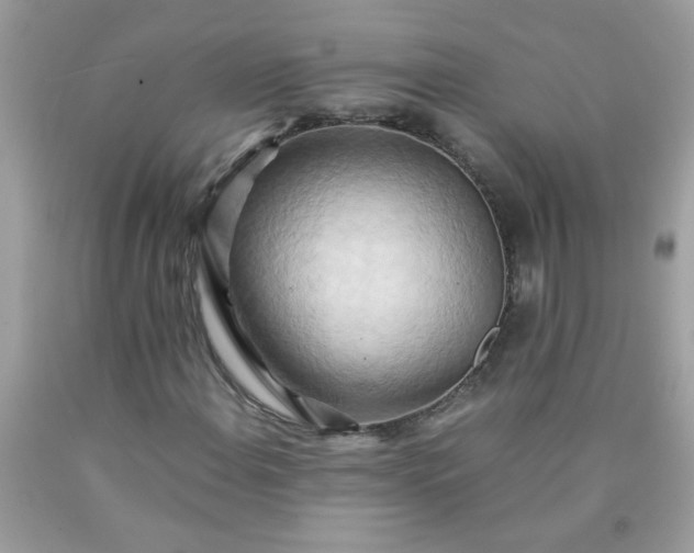 X0000090491108200707272334