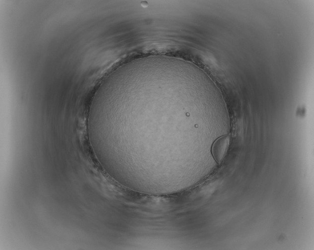 X0000090491109200707272334