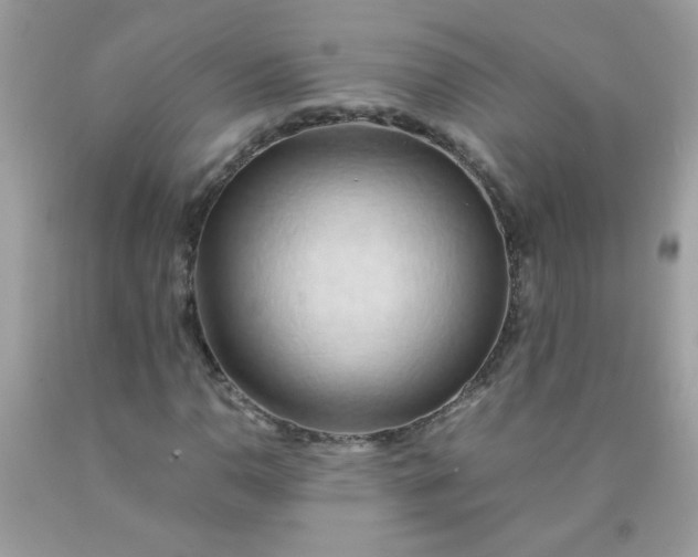 X0000090491110200707272334