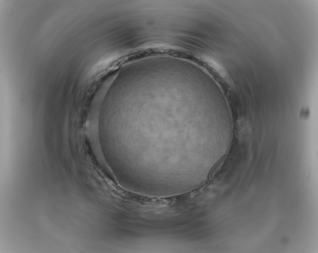 X0000090491111200707272334