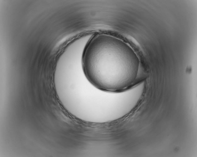 X0000090491112200707272334