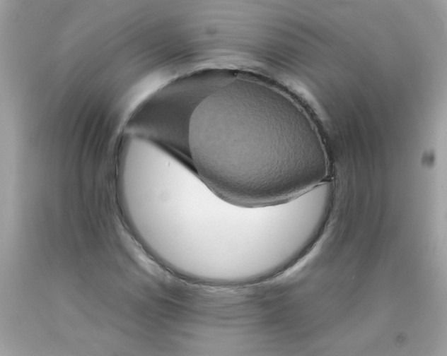 X0000090491114200707272334