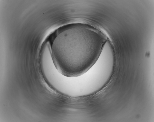 X0000090491116200707272334