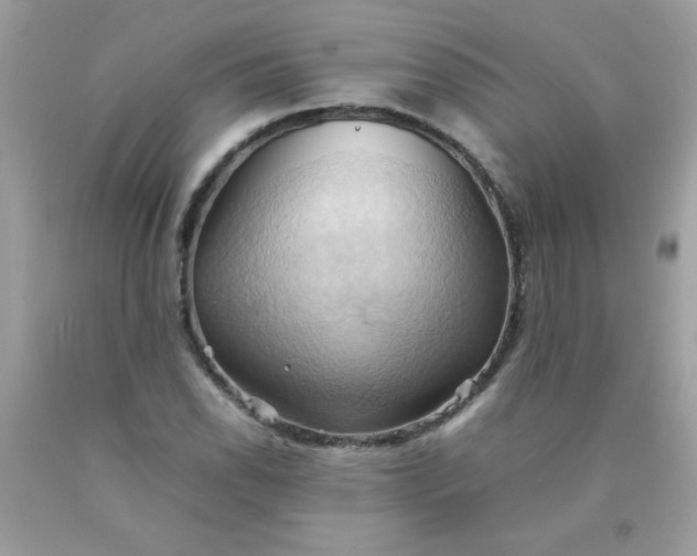 X0000090491118200707272334