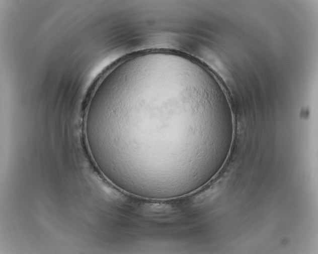 X0000090491119200707272334