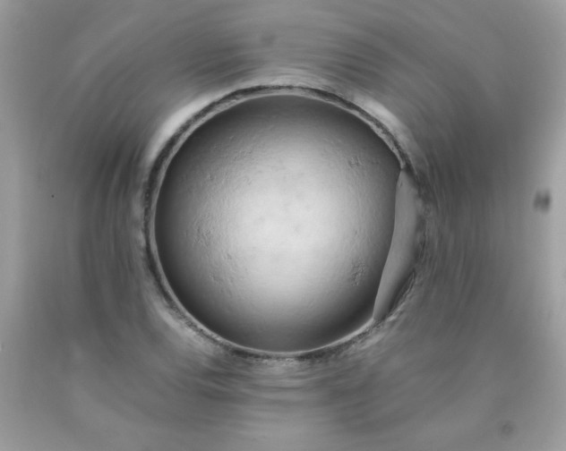 X0000090491120200707272334