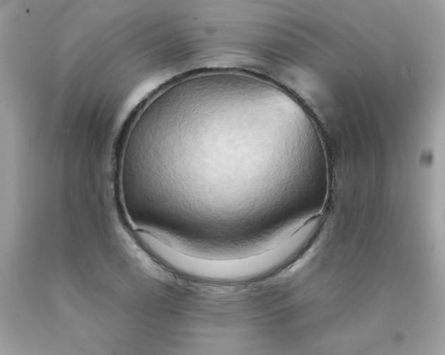X0000090491122200707272334