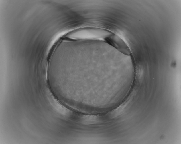 X0000090491123200707272334
