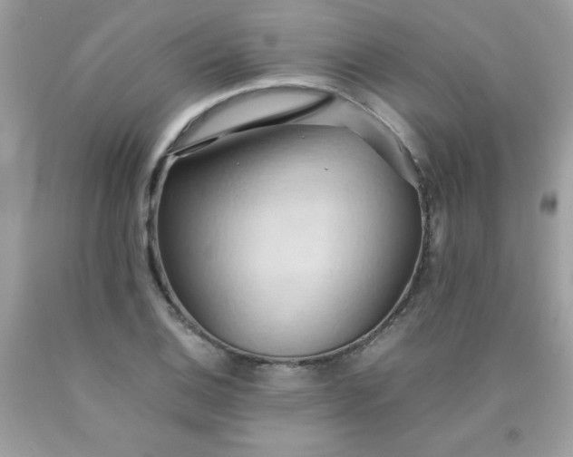 X0000090491124200707272334
