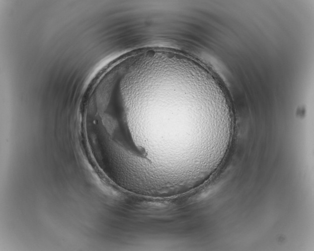 X0000090491125200707272334