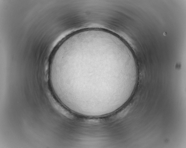X0000090491126200707272334