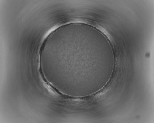 X0000090491127200707272334