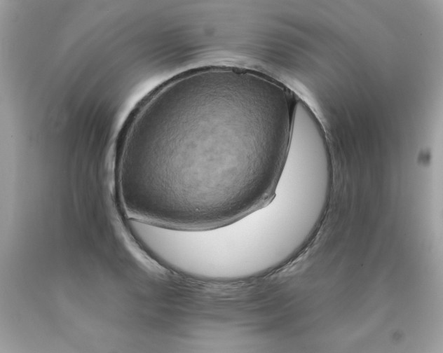 X0000090491128200707272334
