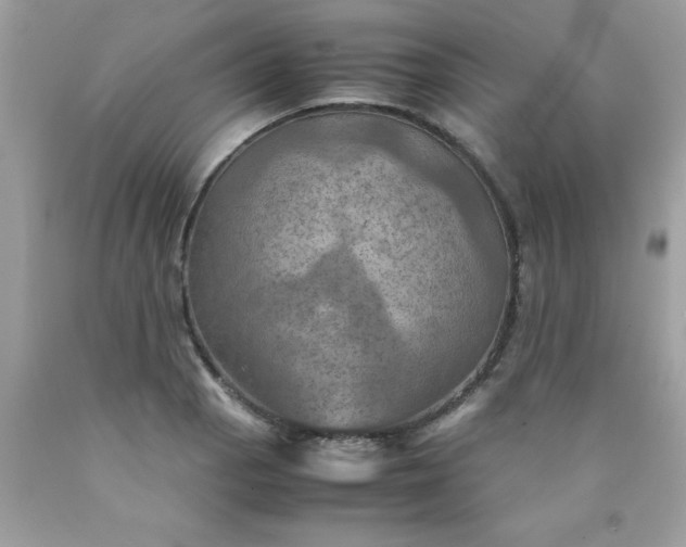 X0000090491129200707272334