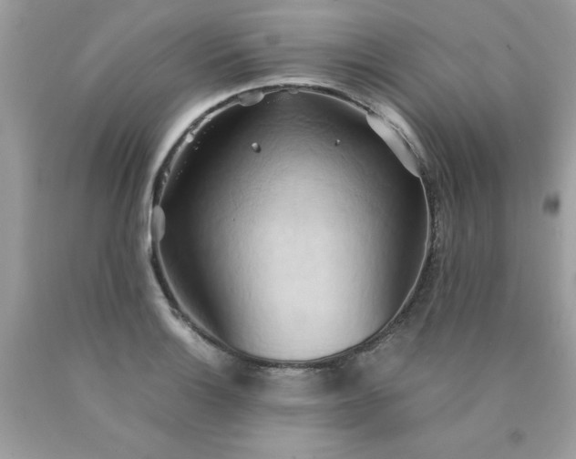 X0000090491132200707272334