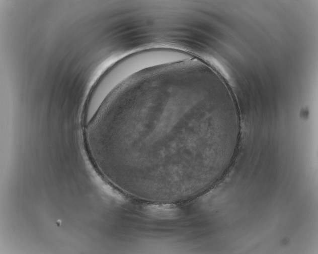 X0000090491133200707272334