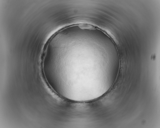 X0000090491134200707272334