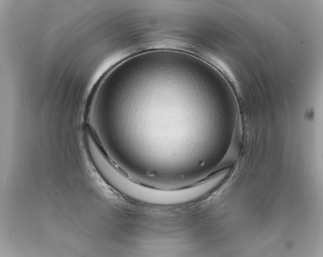 X0000090491138200707272335