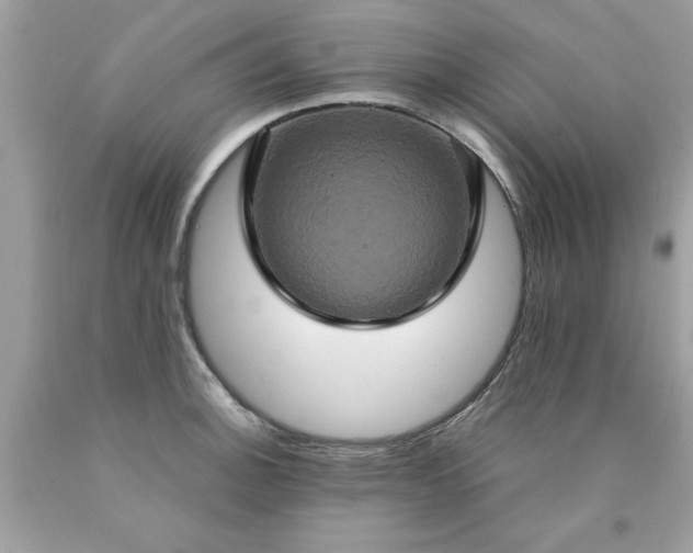 X0000090491140200707272335