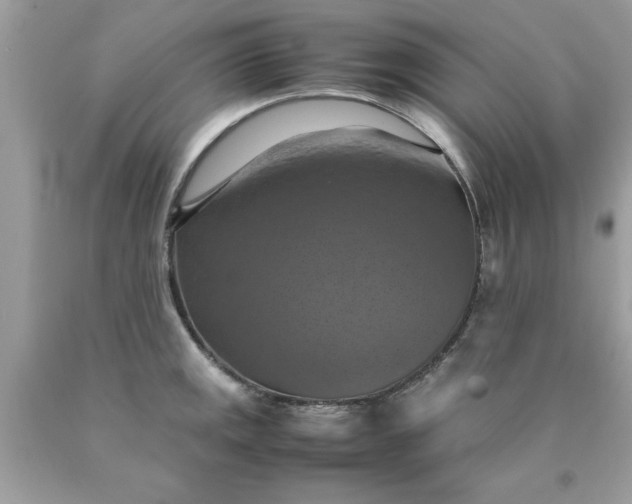 X0000090491141200707272335