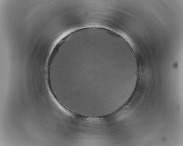 X0000090491142200707272335