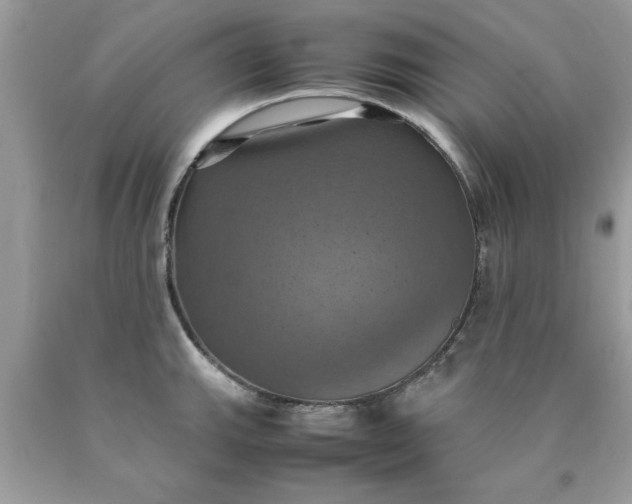 X0000090491143200707272335