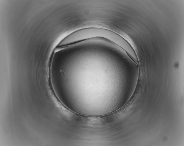X0000090491144200707272335